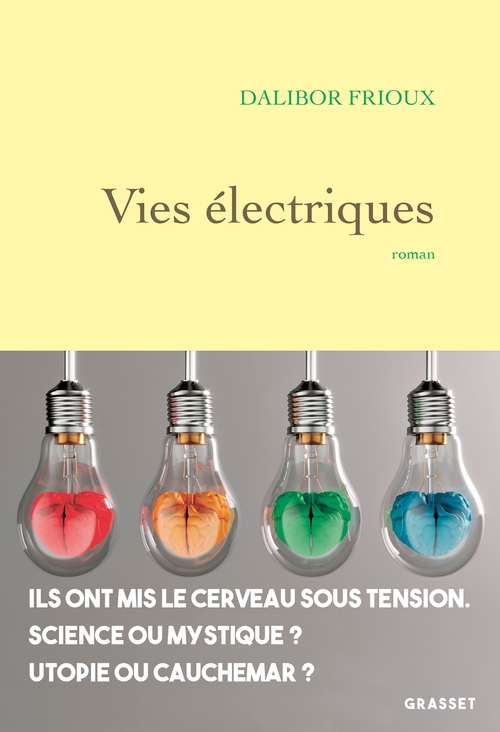ebook cover of Vies électriques, by Dalibor Frioux