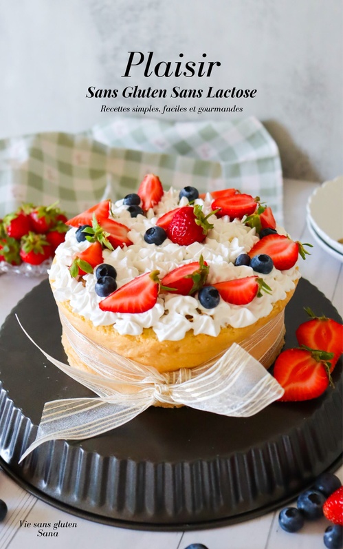 Couverture ebook de Plaisir sans gluten  sans lactose, de Vie Sans Gluten