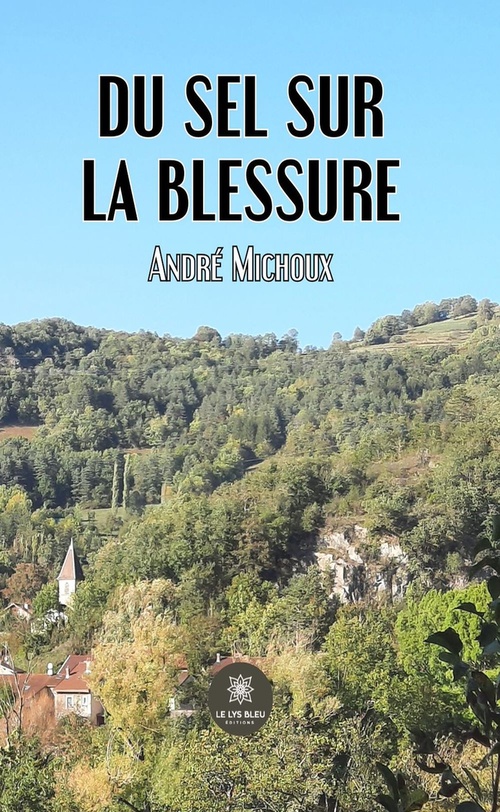 Couverture ebook de Du sel sur la blessure, de Andre Michoux