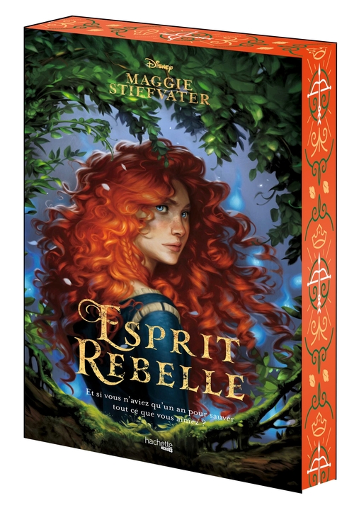 Couverture ebook de Esprit rebelle, de Maggie Stiefvater