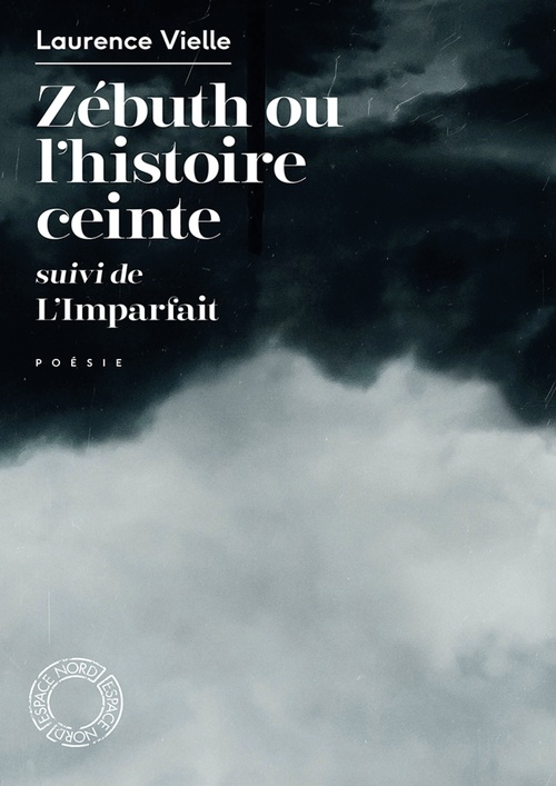 ebook cover of Zébuth ou l'histoire ceinte, by Laurence VIELLE