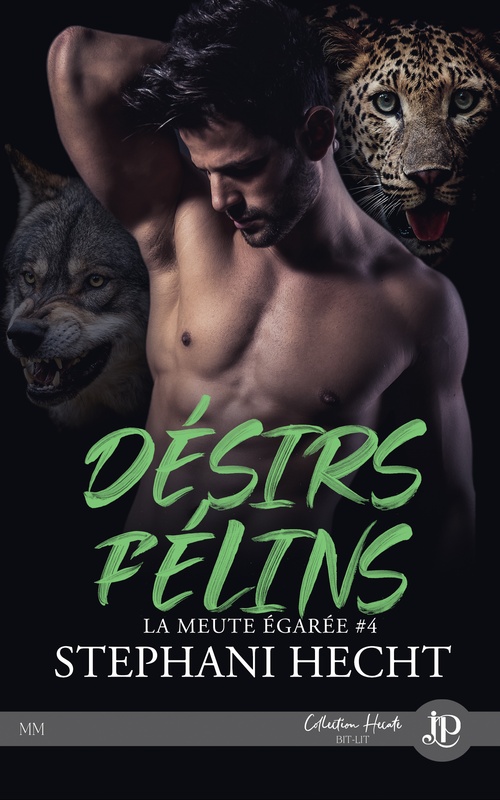 ebook cover of Désirs félins, by Stephani Hecht