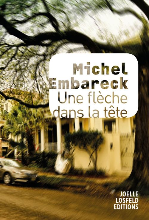 ebook cover of Une flèche dans la tête, by Michel Embareck