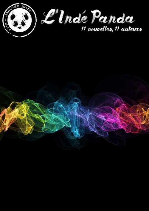 ebook cover of L'Indé Panda n°2, by L''Inde Panda