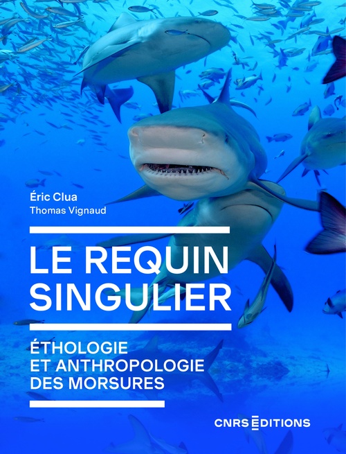 ebook cover of Le requin singulier - Ethologie et anthropologie des morsures, by Thomas Vignaud, Eric Clua