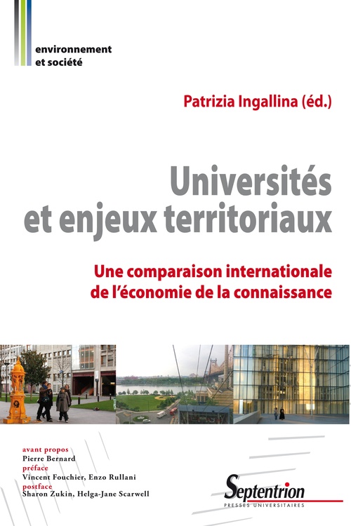 Couverture ebook de Universités et enjeux territoriaux, de Patrizia Ingallina
