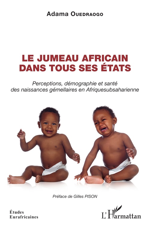 ebook cover of Le jumeau africain dans tous ses états, by Adama Ouedraogo