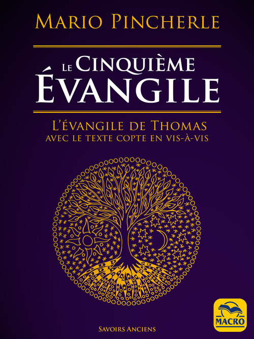 Couverture ebook de Le cinquième évangile, de Mario Pincherle