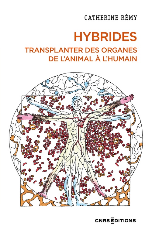 ebook cover of Hybrides - Transplanter des organes de l'animal à l'humain, by Catherine Rémy