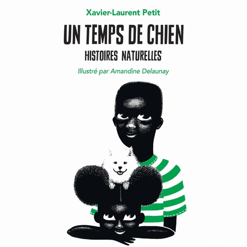 audiobook cover of Un temps de chien, by Xavier-Laurent Petit