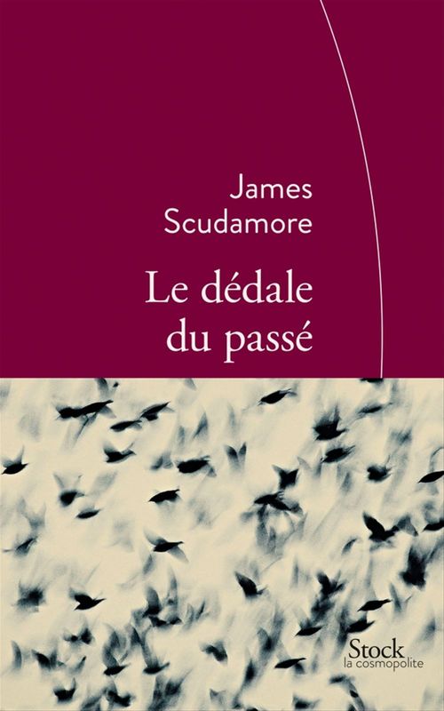 Couverture ebook de Le dédale du passé, de James Scudamore