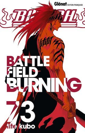 ebook cover of Bleach - Tome 73, by Tite Kubo