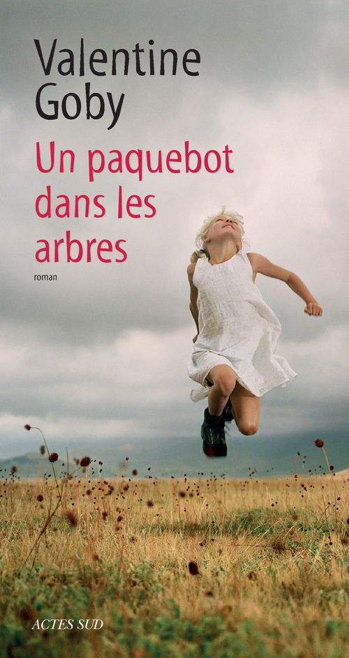 ebook cover of Un paquebot dans les arbres, by Valentine Goby