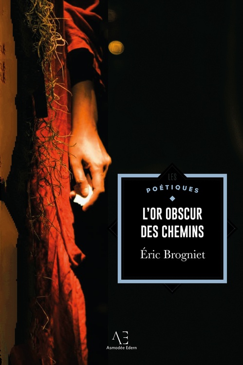ebook cover of L'Or obscur des chemins, by Eric Brogniet