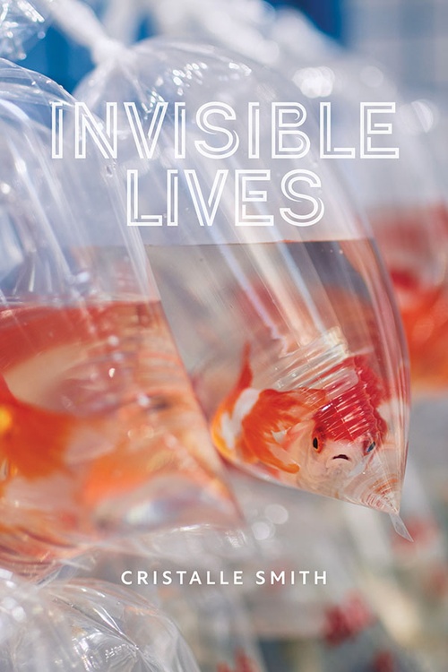 ebook cover of Invisible Lives, by Cristalle Smith