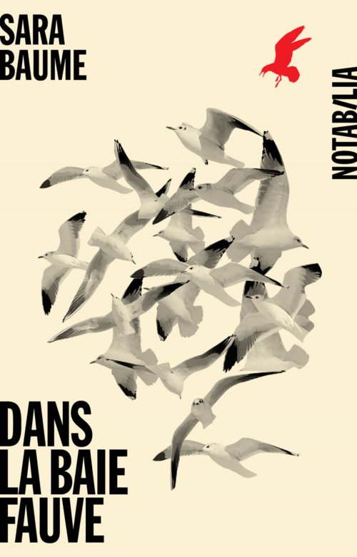 ebook cover of Dans la baie fauve, by Sara Baume, France Camus-Pichon