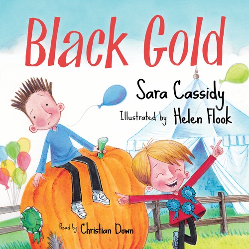 audiobook cover of Black Gold, by Sara Cassidy