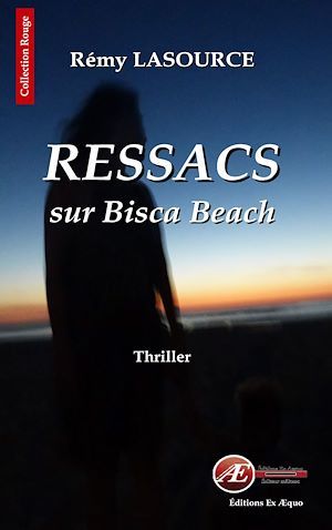 ebook cover of Les chroniques policières de Biscarrosse - Tome 1, by Rémy Lasource