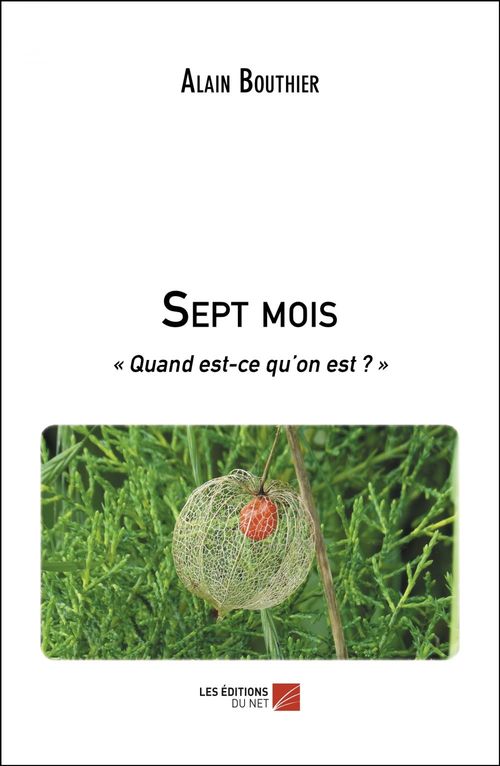 ebook cover of Sept mois, by Alain Bouthier