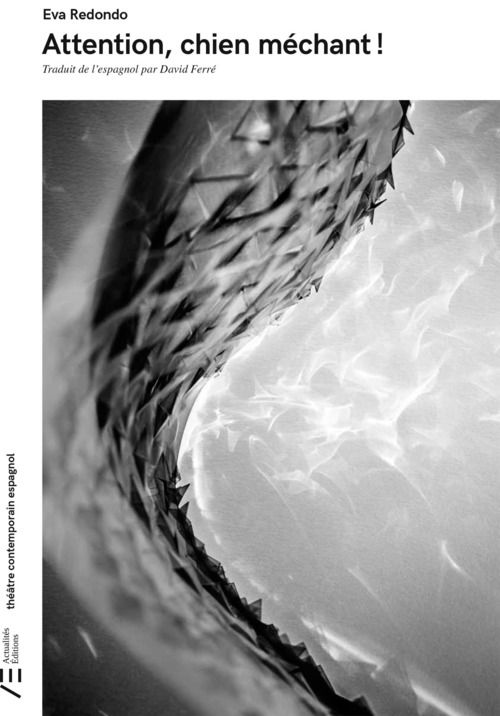 ebook cover of Attention, chien méchant !, by Eva Redondo