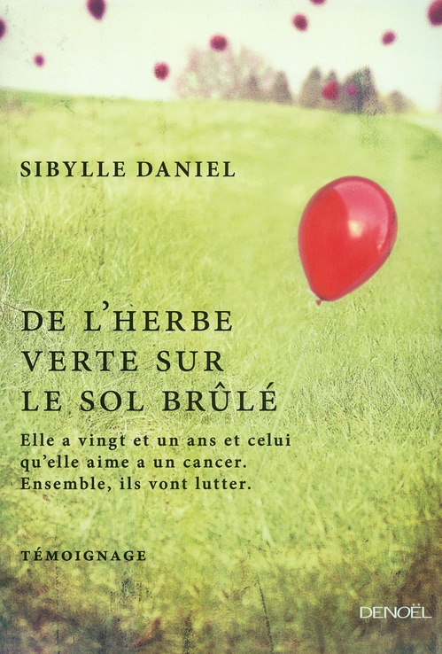 ebook cover of De l'herbe verte sur le sol brûlé, by Sibylle Daniel