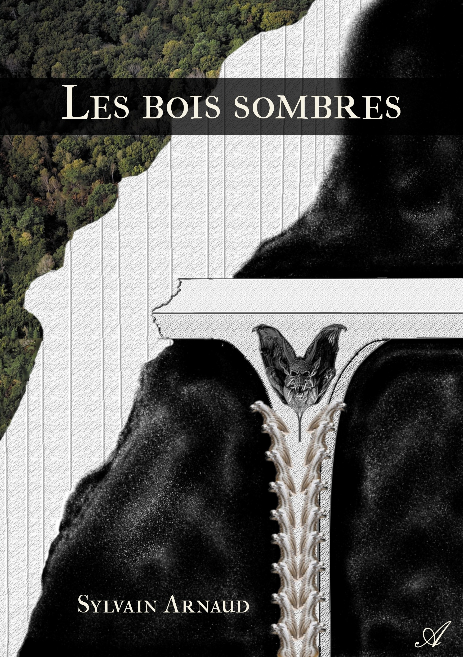 Couverture ebook de Les bois sombres, de Arnaud Sylvain