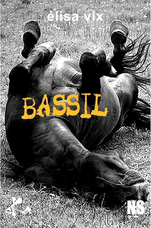 ebook cover of Bassil, by Elisa Vix