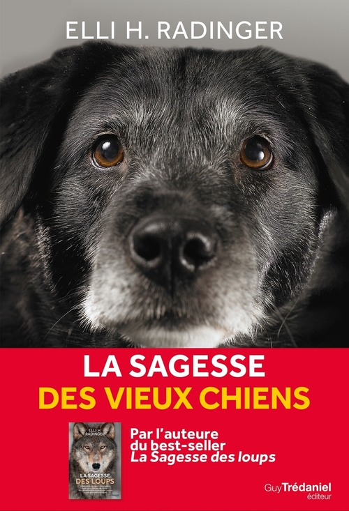 Couverture ebook de La sagesse des vieux chiens, de Elli h Radinger