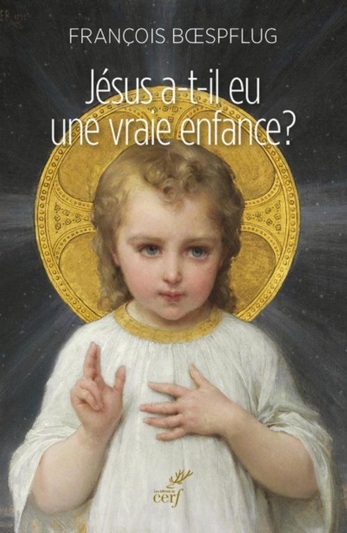Couverture ebook de JÉSUS A-T-IL EU UNE VRAIE ENFANCE ?, de François Boespflüg