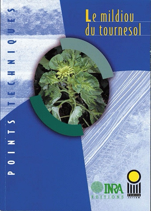 Couverture ebook de Le mildiou du tournesol, de Collectif