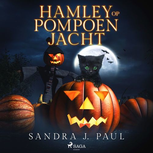 audiobook cover of Hamley op pompoenjacht, by Sandra J. Paul