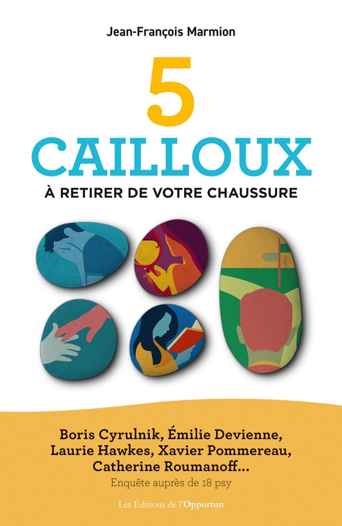 ebook cover of 5 cailloux à retirer de votre chaussure, by Jean-François Marmion