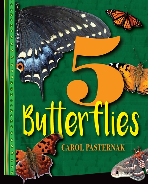 Couverture ebook de 5 Butterflies, de Carol Pasternak