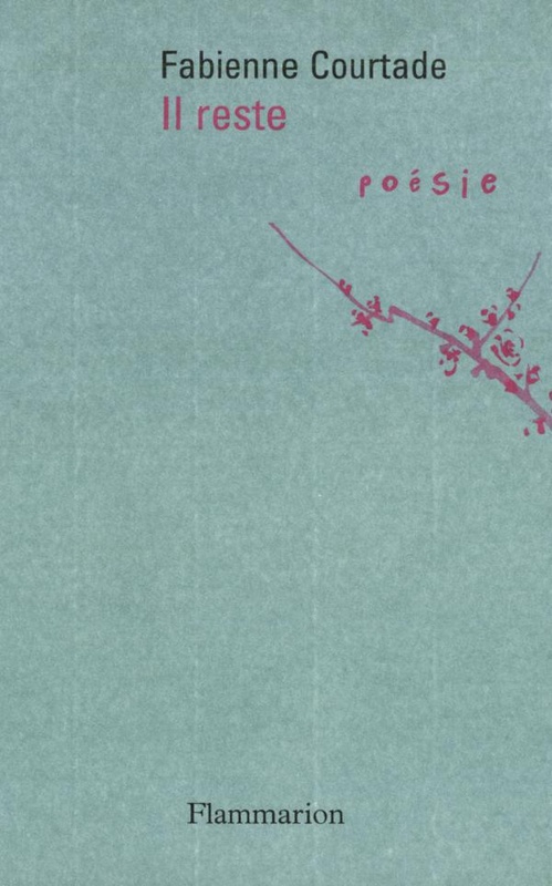 ebook cover of Il reste, by Fabienne Courtade