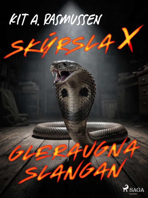 ebook cover of Skýrsla X - Gleraugnaslangan, by Kit A. Rasmussen