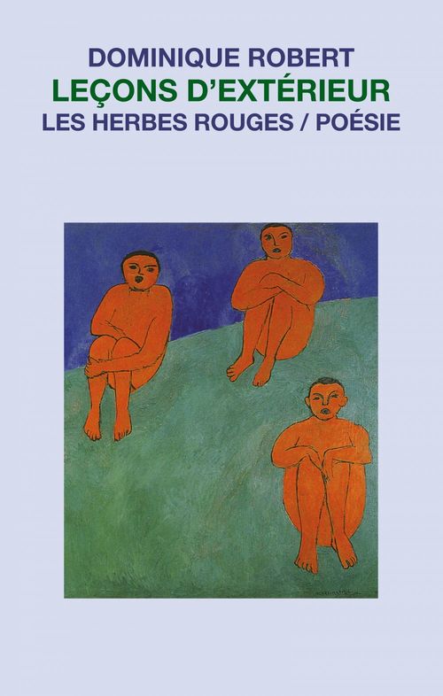 Couverture ebook de Leçons d´extérieur, de Dominique Robert
