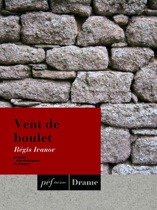 ebook cover of Vent de boulet, by Regis Ivanov
