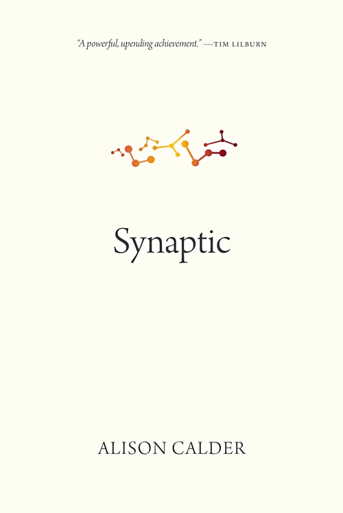 ebook cover of Synaptic, by Alison Calder