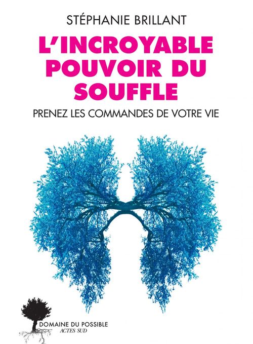 ebook cover of L'incroyable pouvoir du souffle, by Stéphanie Brillant