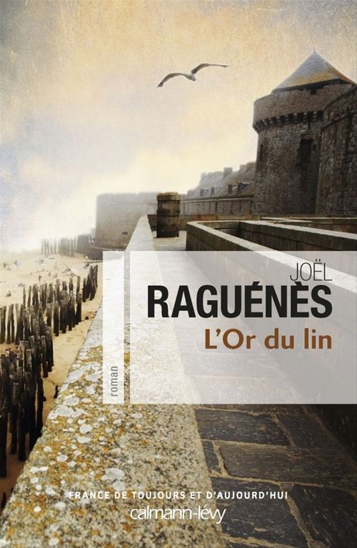 ebook cover of L'Or du lin, by Joël Raguénès