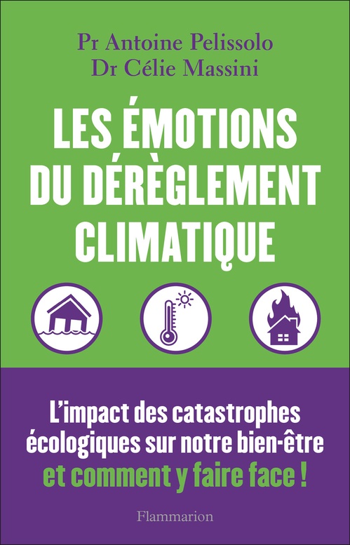 ebook cover of Les émotions du dérèglement climatique, by Celie Massini, Antoine Pelissolo