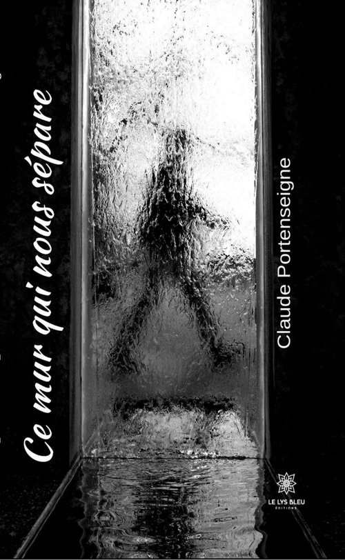ebook cover of Ce mur qui nous sépare, by Claude Portenseigne