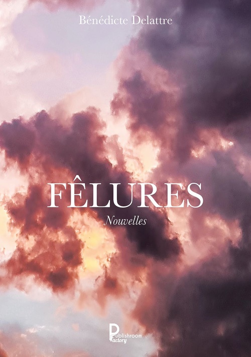 Couverture ebook de Fêlures, de Bénédicte Delattre