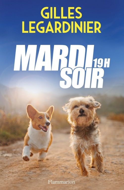 ebook cover of Mardi soir, 19h, by Gilles Legardinier