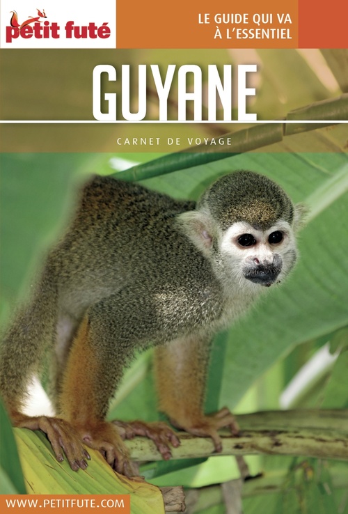ebook cover of GUYANE 2017 Carnet Petit Futé, by Collectif petit futé