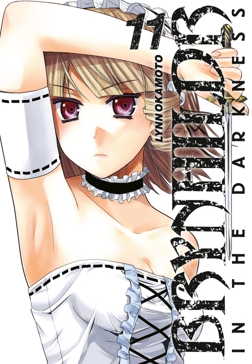 ebook cover of Brynhildr in the Darkness T11, by Lynn Okamoto
