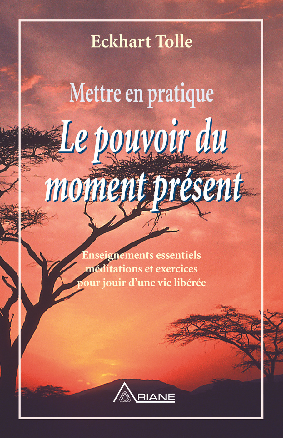 ebook cover of Mettre en pratique Le pouvoir du moment présent, by Eckhart Tolle