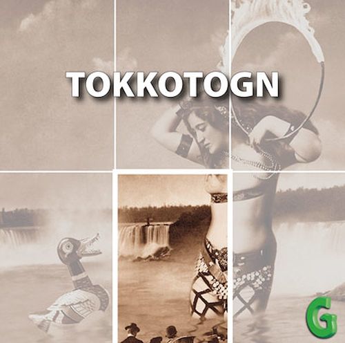 audiobook cover of Tokkotogn, by Édith Montelle