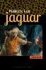 ebook cover of Promesse à un jaguar, by Karen Olsen