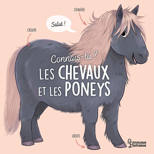 Couverture ebook de Connais-tu ? Les chevaux et les poneys, de Agnès Besson